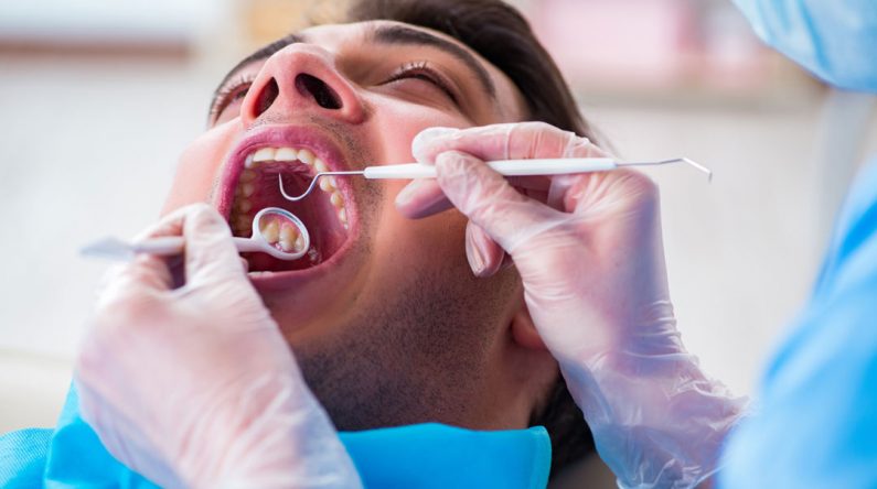 The Importance of Regular Dental Check-ups